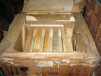 P1110149