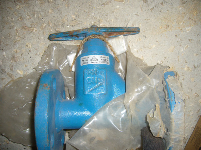 P1110037