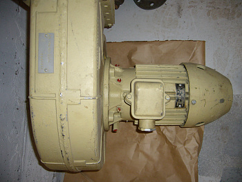 P1100665